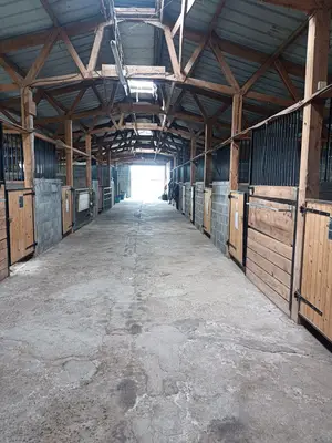 Le barns de la pension Horsin'go est constitué de box spacieux et confortables.